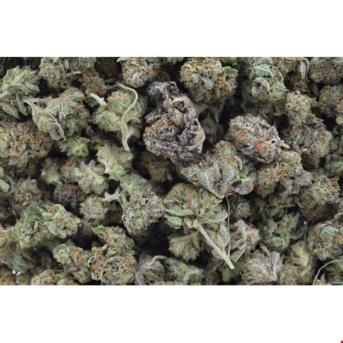 Pink Kush Small (Indica) - SALE 1 OZ $55